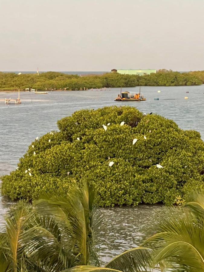 Hidden Treasure Vacation Home Blue Bay Cottage Caye Caulker Bagian luar foto
